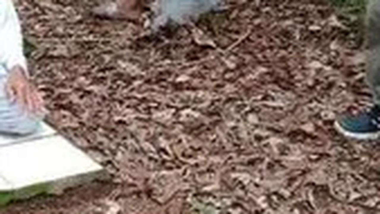 Heboh Aliran Sesat di Gegerkalong Bandung, Ini Kata Polisi