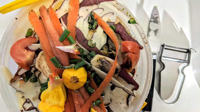 4 Bahan Dapur yang Ternyata Tidak Cocok Dijadikan Pupuk, Jangan Asal Kompos