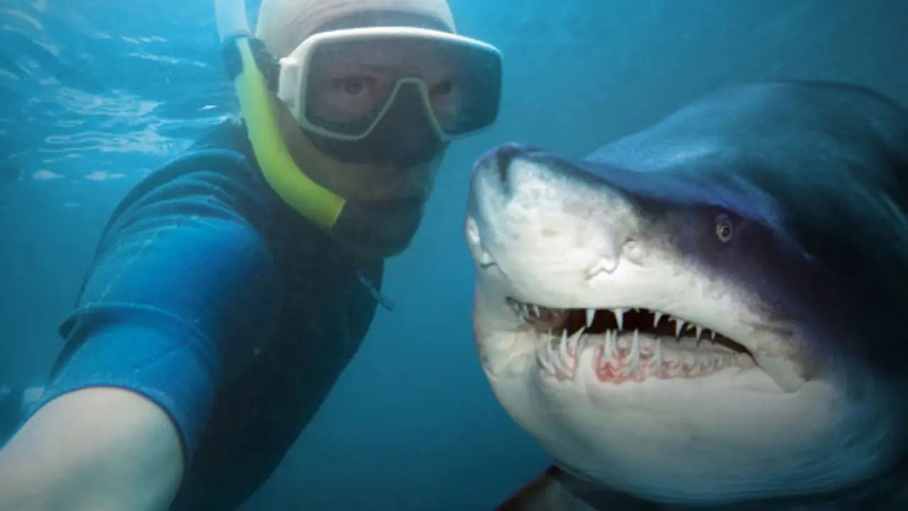Foto Selfie Lebih Banyak Membunuh Orang Dibandingkan Ikan Hiu