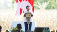 Komisi IV: Produksi Jagung Meningkat Signifikan Berkat Keterlibatan Polri