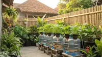 Cara Budidaya Ikan Tombro di Galon Bekas, Solusi Hemat Lahan untuk Panen Ikan Air Tawar di Rumah