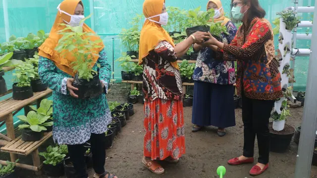Pemberdayaan Ekonomi Kreatif Urban Farming untuk Warga Jawa Tengah oleh PT PII