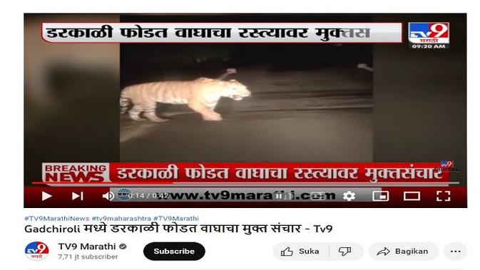 <p>Gambar Tangkapan Layar Video dari Channel YouTube TV9 Marathi.</p>