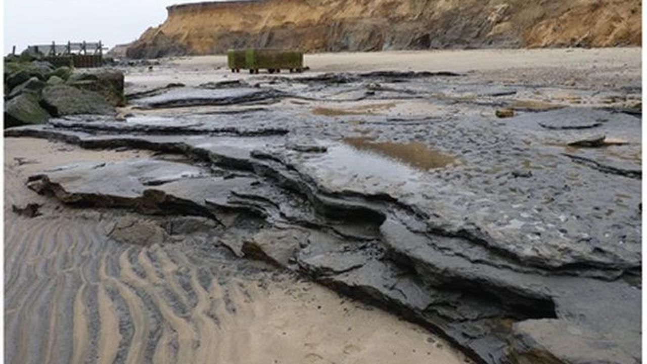 Ketika jejak kaki tersebut ditinggalkan, daerah sekitar Happisburgh masih terhubung dengan daratan dan benua Eropa. Tempat ini mungkin menjadi rumah bagi hewan-hewan termasuk rusa dan bison serta menyediakan tanaman, rumput laut, dan kerang sebagai makana