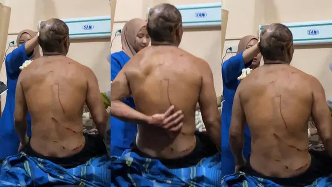 Sedang Perjalanan Pulang dari Kebun, Amir Kaget Tiba-Tiba Diserang Harimau dari Belakang