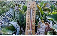 Suhu Mencapai Minus Satu Derajat Celsius, Begini Kondisi Dieng yang Kembali Membeku