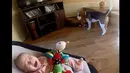 Seorang bayi lucu menangis saat mainannya diambil oleh seekor anjing (Youtube.com)