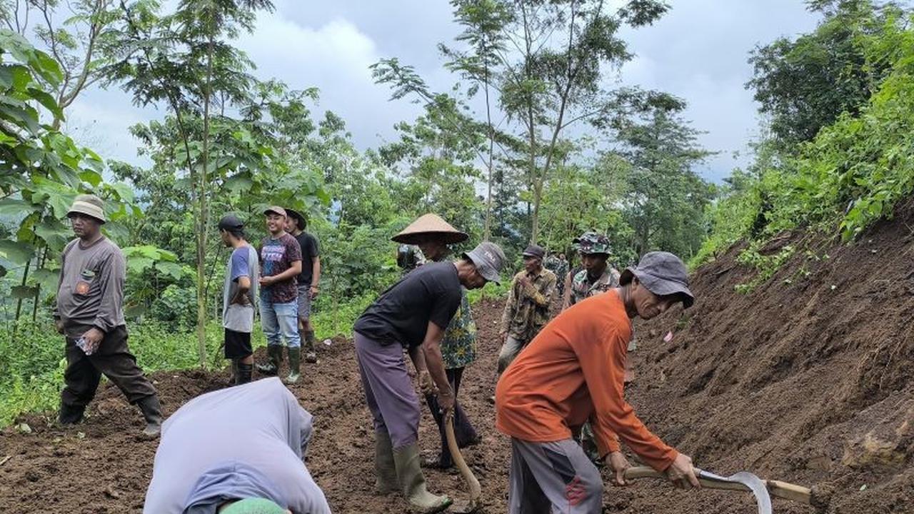 TNI dan Warga Situbondo Bersinergi Buka Akses Perkebunan melalui TMMD ke-127