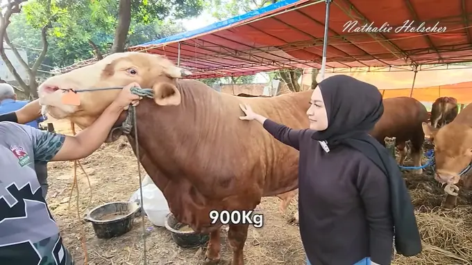 [Fimela] Nathalie Holscher