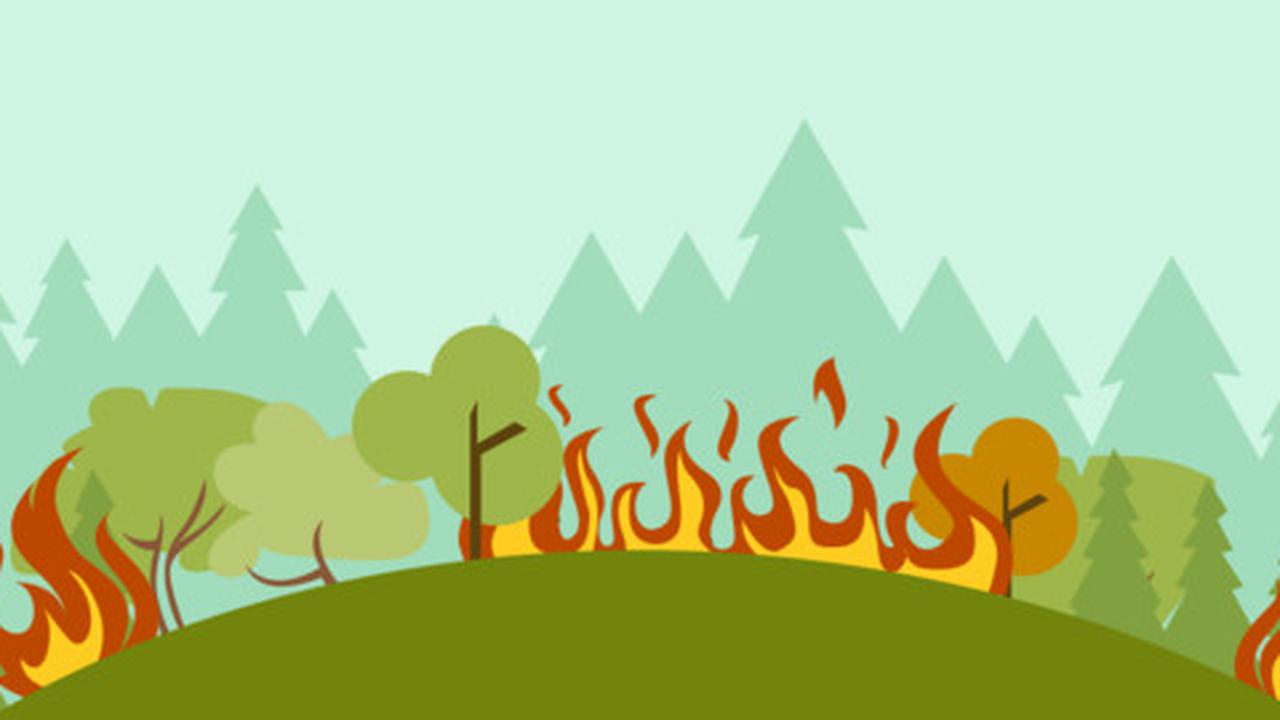 Berkas tersangka kebakaran hutan dari korporasi sudah dilimpahkan
