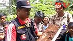 liputan6