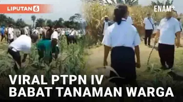 Video pembabatan tanaman oleh PTPN IV viral di media sosial. Disebut terjadi di Bah Jambi, Simalungun, Sumatera Utara. Sejumlah orang dari PTPN IV disebut membabat habis tanaman jagung milik warga.