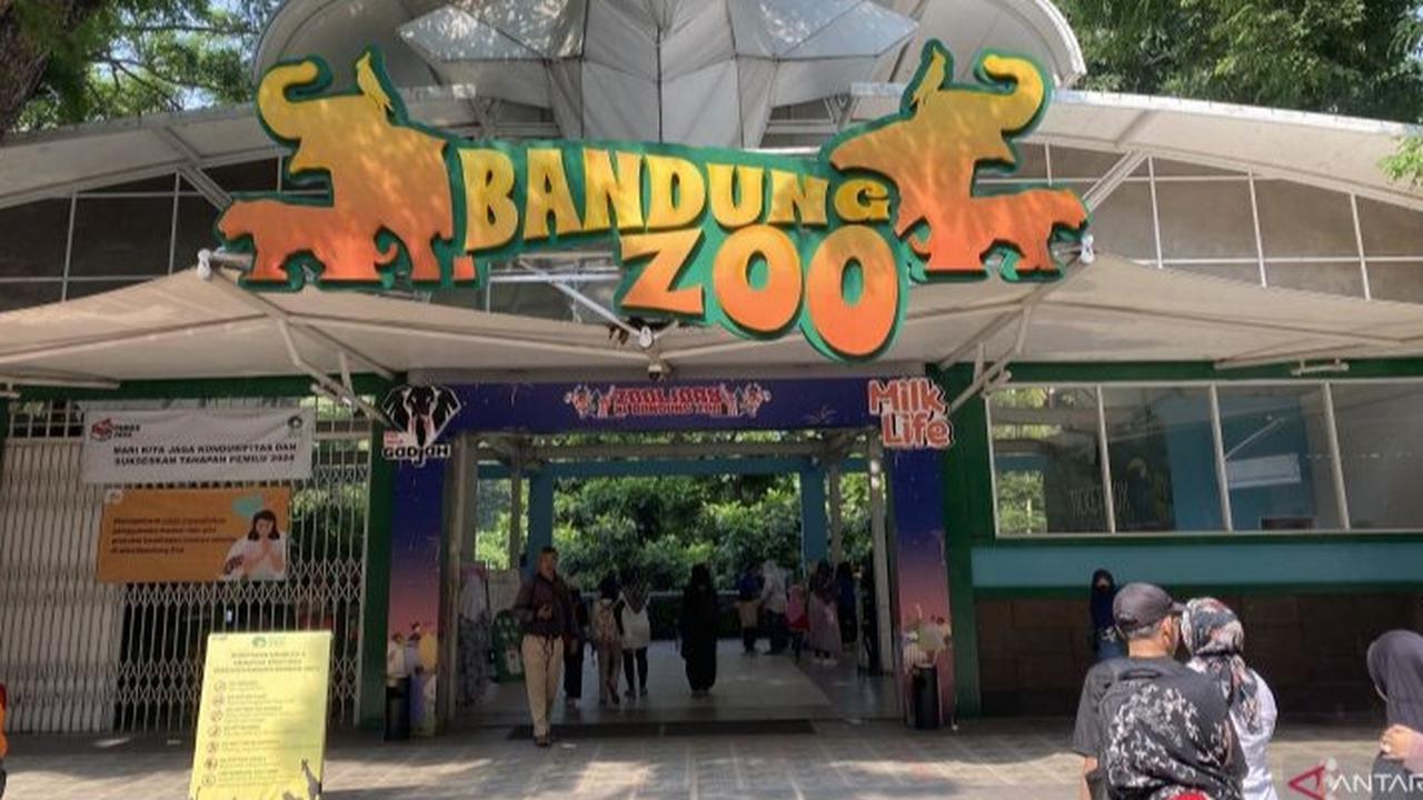 Terdakwa Korupsi Pengelolaan Bandung Zoo Dituntut Penjara 15 Tahun dan Denda Belasan Miliar