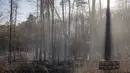 Asap mengepul dari kebakaran hutan yang menyebabkan kerusakan lebih dari 1.000 hektar di Pilot Mountain State Park di Pinnacle, North Carolina, AS (30/11/2021). (Allison Lee Isley/The Winston-Salem Journal via AP)