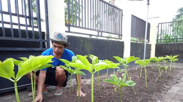 Percepat Regenerasi, Duta Milenial Kementan Ajak Ribuan Petani Kembangkan Peran Petani Kembangkan Pertanian Organik
