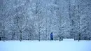 Seorang pria berjalan di depan pohon yang tertutup salju setelah hujan salju lebat di pinggiran Moskow, Rusia pada Selasa (14/12/2021). (Kirill KUDRYAVTSEV / AFP)
