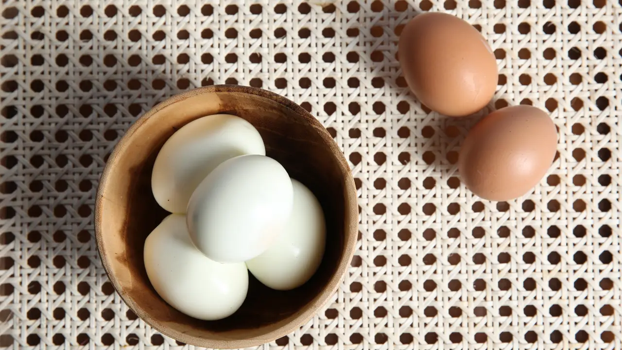 Telur Ayam