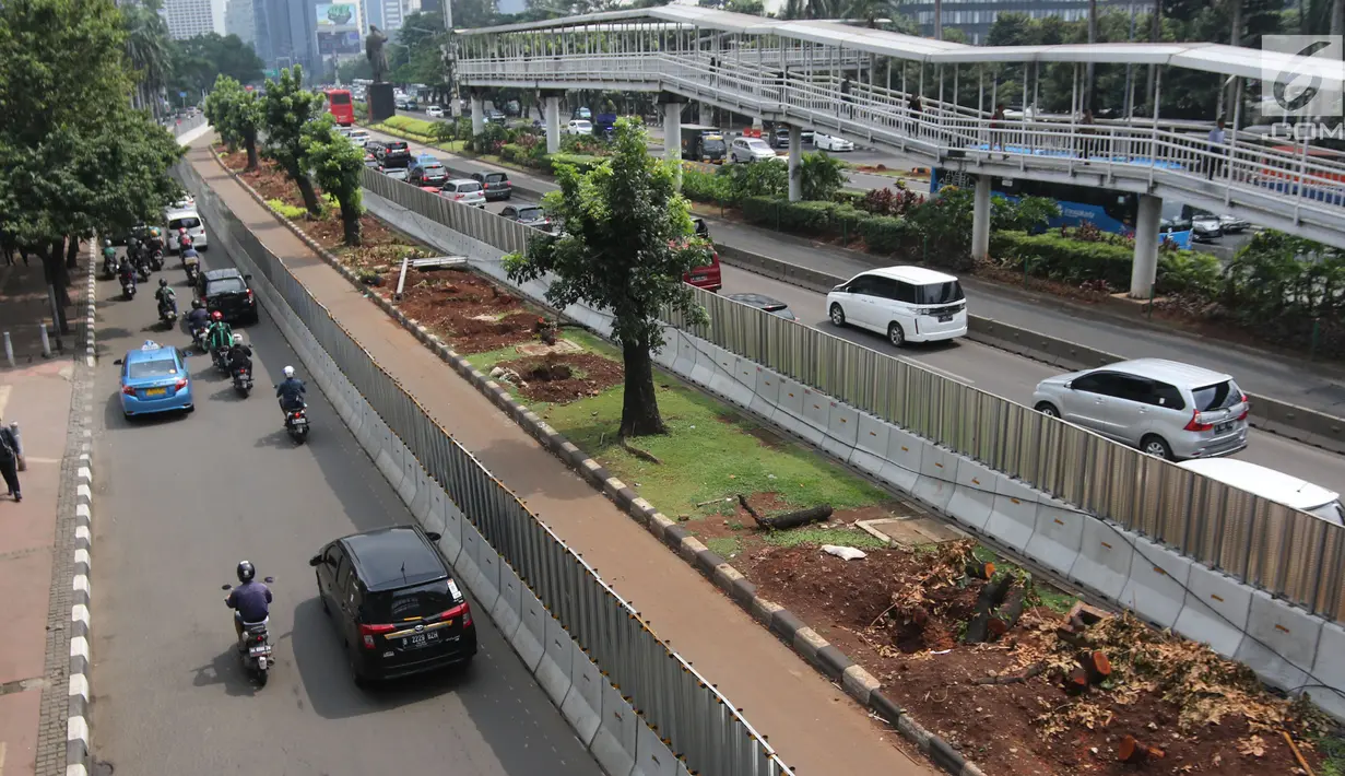 Kendaraan melintas di samping-pohon-pohon terdampak penataan ulang trotoar  di kawasan Sudirman, Jakarta, Jumat (9/3). Proses relokasi pohoN-pohon itu sudah dimulai sejak Selasa (6/3) dan ditarget selesai bulan Maret Ini. (Liputan6.com/Arya Manggala)