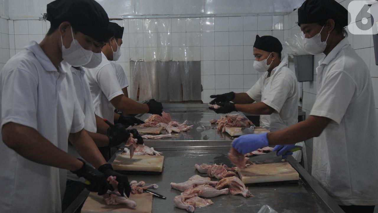 Info Terbaru: Aturan Wajib Sertifikasi Halal Berlaku Hari Ini, Produk Bisa Ditarik