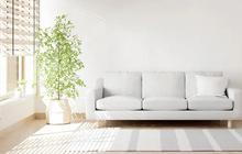 Rekomendasi Warna Cat Rumah Minimalis yang Estetik dan Elegan, Buat Hunian Makin Nyaman Dipandang