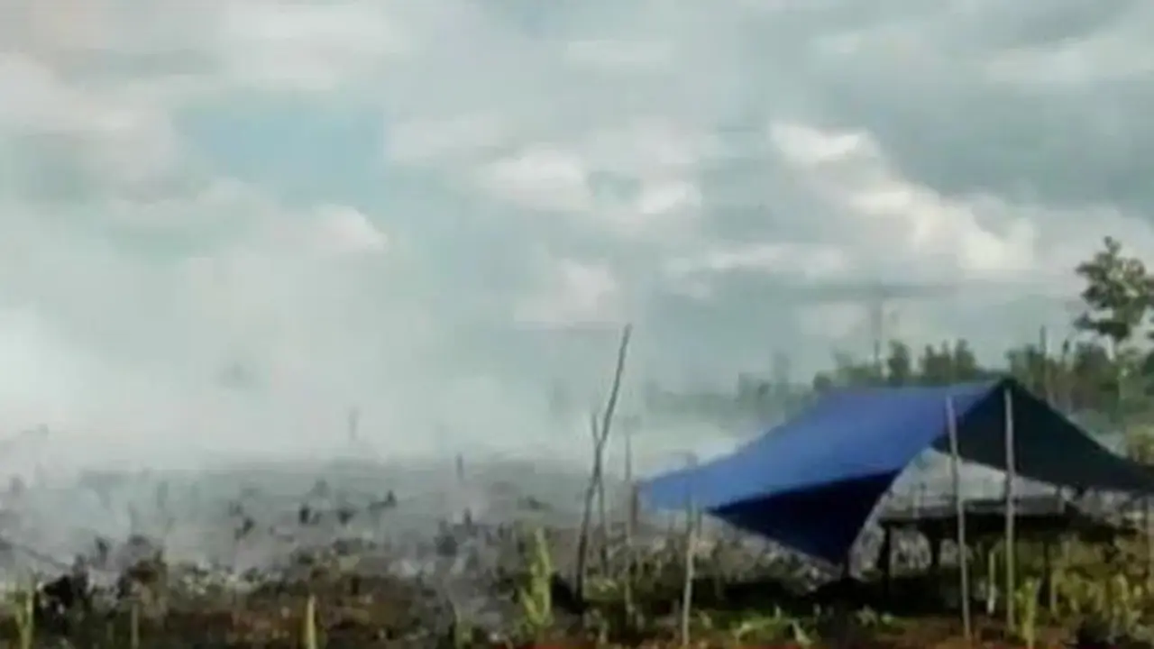 Kebakaran Lahan Gambut