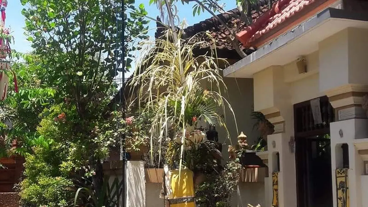 Rumah Dokter Wayan Mustika
