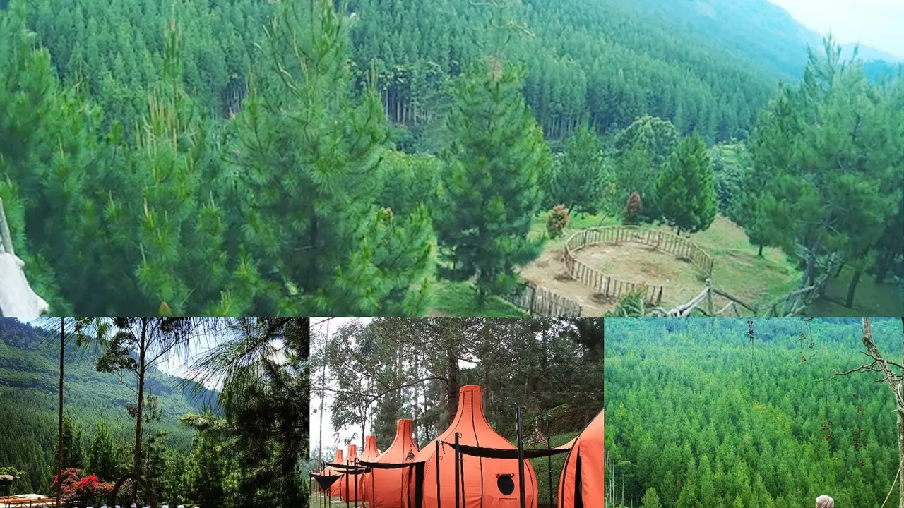 [reservasi]the lodge maribaya