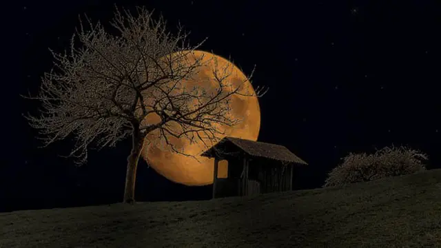 Menguak Misteri Malam 1000 Bulan