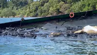Kapal Pengangkut Limbah Kandas di Perairan Batam, Air Laut Menghitam Timbulkan Bau Tak Sedap