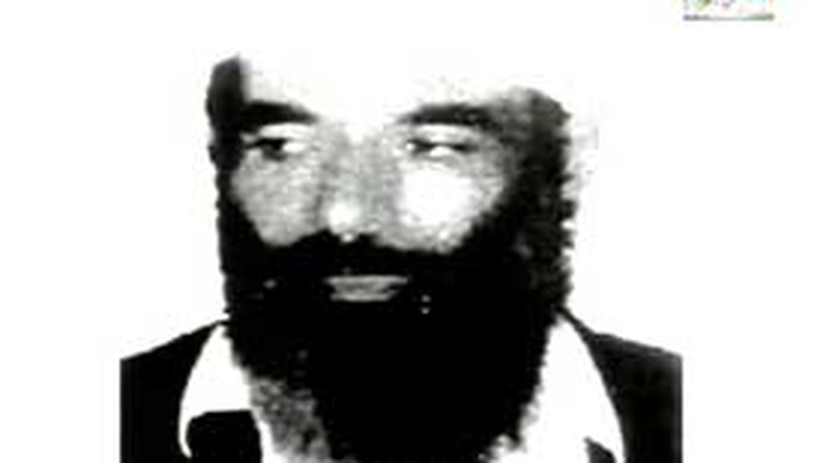 Pewaris Tahta Osama bin Laden Tewas - Global Liputan6.com