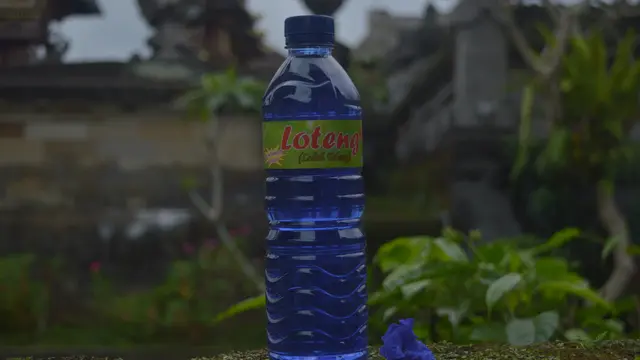 Desa Penglipuran