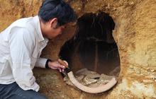 Warga Poso Temukan Tulang Manusia dalam Gentong di Kawasan Megalitikum