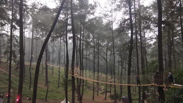 Orchid Forest Cikole