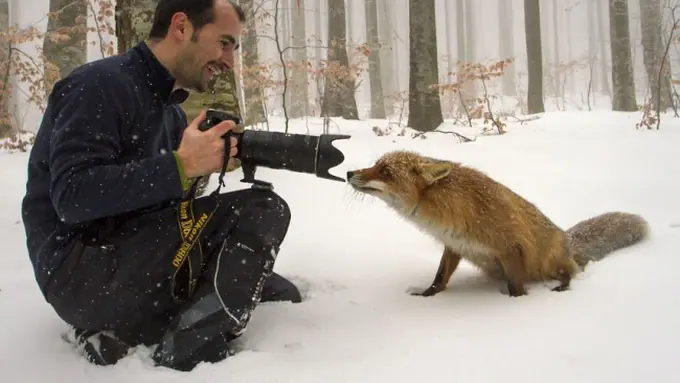 10 Alasan Kenapa Fotografer Fauna adalah Pekerjaan Terbaik