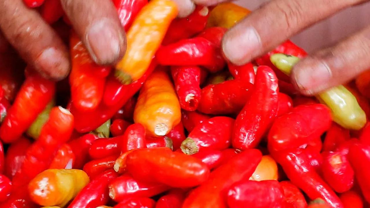 BPS: Harga Cabai dan Gula Sudah Naik dari Awal November 2023