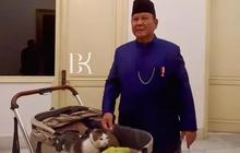 Berapa Harga Stroller Milik Bobby Kertanegara, Kucing Peliharaan Prabowo?