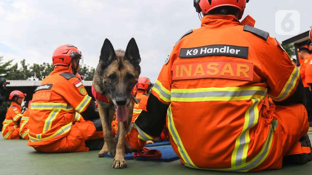Basarnas Kirim 47 Personel Bantu Korban Gempa Turki