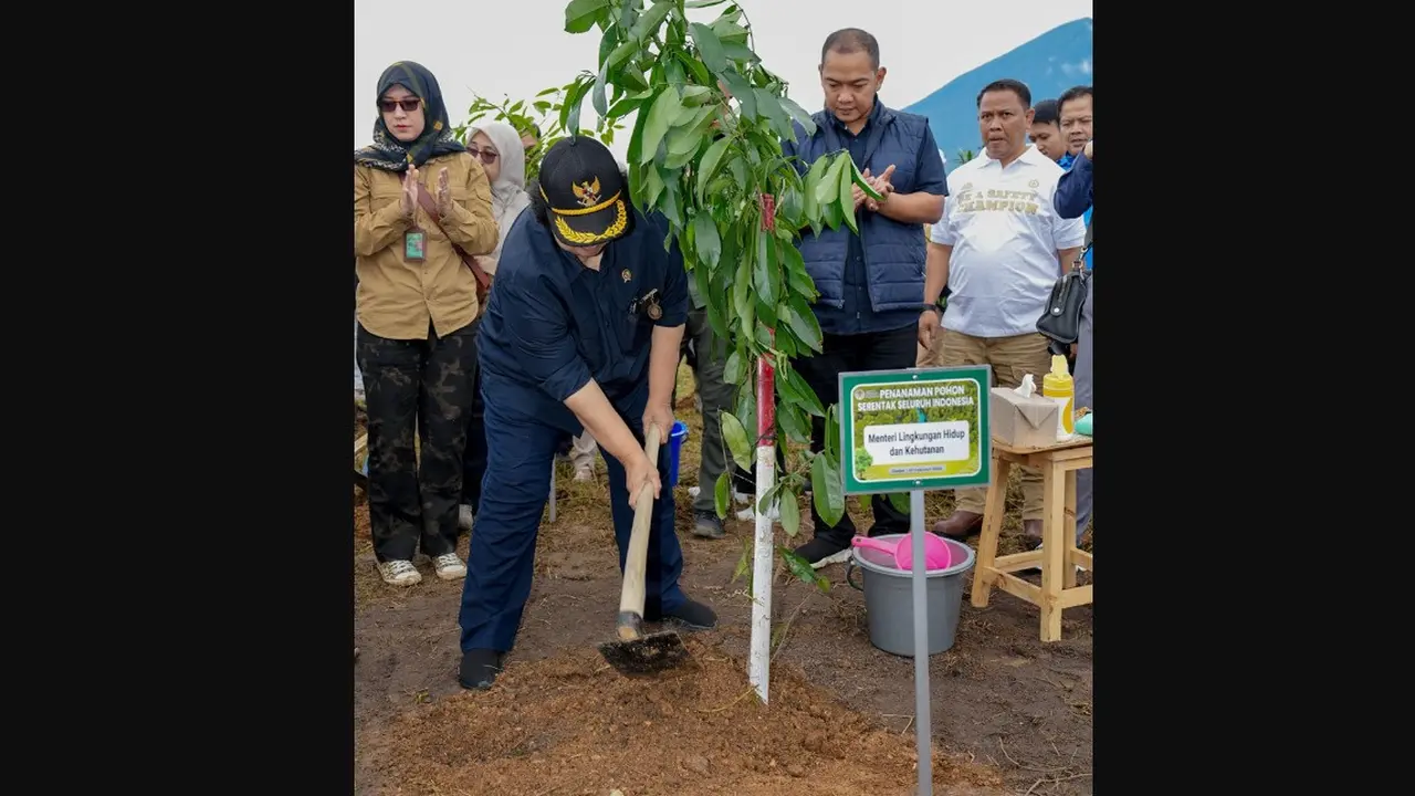 Kementerian Lingkungan Hidup dan Kehutanan (KLHK) kembali melakukan Penanaman Pohon Serentak di seluruh wilayah Indonesia pada Rabu (7/2/2024) dipimpin oleh Menteri LHK Siti Nurbaya bersama 635 peserta di Cianjur, Jawa Barat (Jabar).