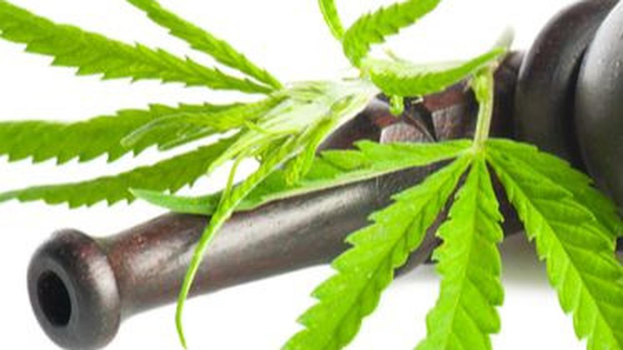 60 Siswa SD di Jamaika Dilarikan ke Rumah Sakit Setelah Makan Permen Ganja