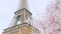 Bunga sakura di dekat Menara Eiffel, Paris. (dok.Instagram @paris_ashgraphy/https://www.instagram.com/p/BRqbkEShu2w/Henry