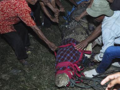 Warga membebaskan seekor buaya dari ban yang tersangkut pada lehernya selama sekitar lima tahun sebelum dilepaskan ke sungai di Palu, Sulawesi Tengah, 7 Februari 2022. Usai dilepaskan dari jerat ban yang menyiksanya, buaya sepanjang sekitar 6 meter tersebut langsung dilepaskan. (MUHAMMAD RIFKI/AFP)