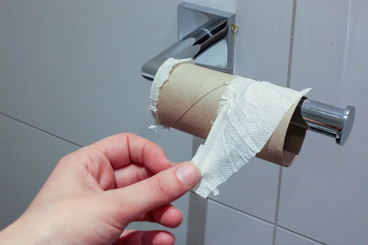 Ilustrasi tisu toilet