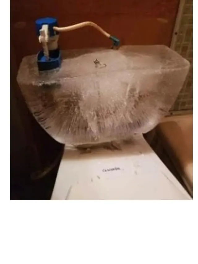 Polar Vortex Semua Membeku