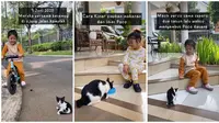 Cerita Gadis Kecil Bernama Kinar Rawat Kucing Jalanan. (Sumber: TikTok/@dayuhatmanti)