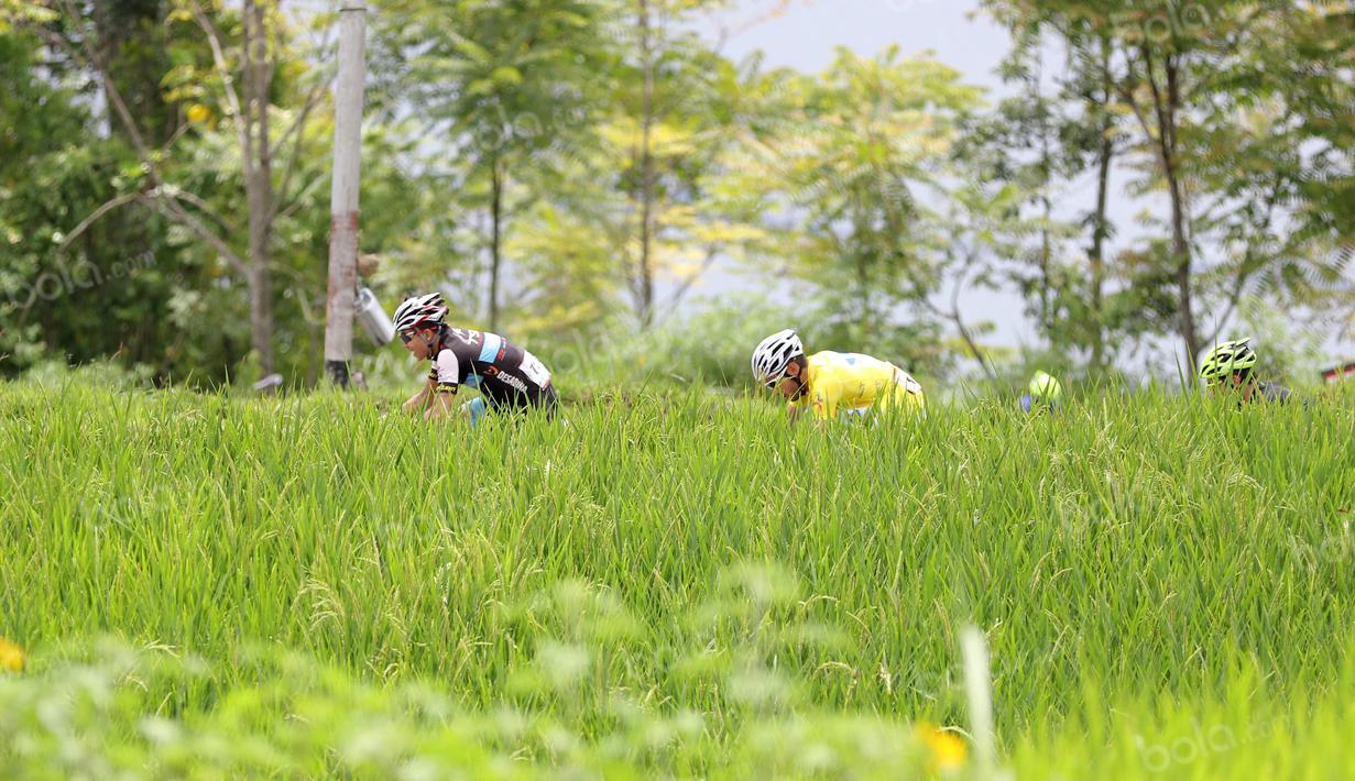 Para pebalap melintasi sawah pada jalur tanjakan kelok 44  etape ke-4 Tour de Singkarak 2016 di Kabupaten Agam, Sumatera Barart. (Bola.com/NIcklas Hanoatubun)
