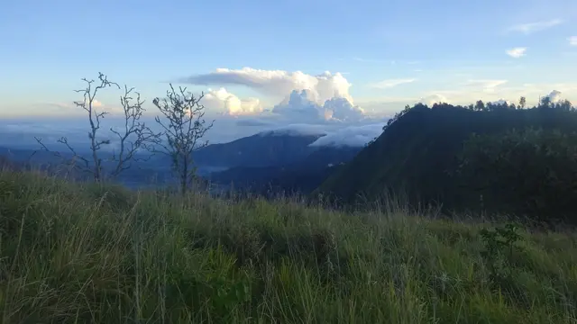 Area di Gunung Sempana di pagi hari. (Dok: Gunung Bagging https://www.gunungbagging.com/sempana/)