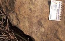 Ini Sosok Penemu Fosil Dinosaurus Pertama Kali, 500 Tahun Lebih Dulu dari Ilmuwan Inggris