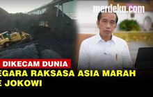 VIDEO: Negara-Negara Asia Ini Kecam RI, Buntut Jokowi Setop Ekspor Batu Bara