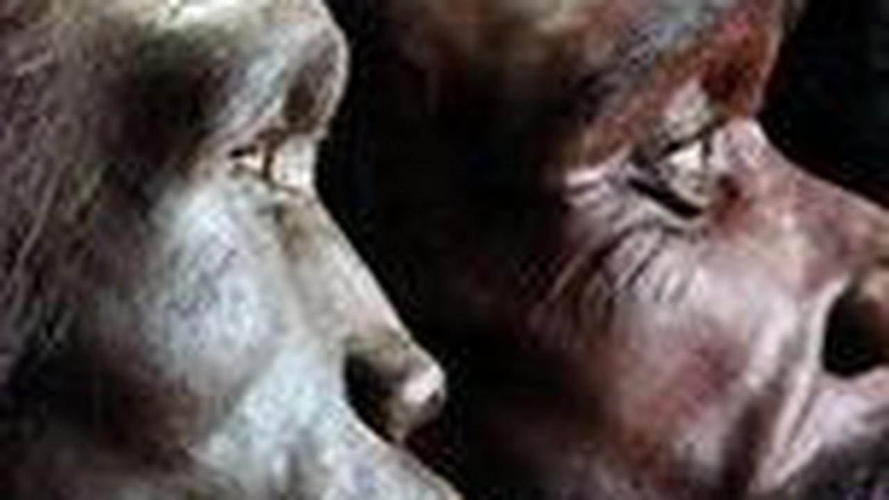 Manusia Hampir Punah 900.000 Tahun Lalu, Hanya Tersisa 1.300 Orang di Bumi