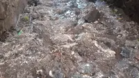 Limbah Dapur MBG di Ekasapta Flores Timur NTT Cemari Lingkungan, Warga Protes